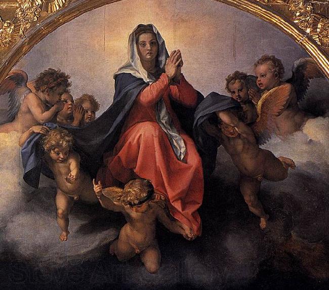 Andrea del Sarto Assumption of the Virgin Norge oil painting art